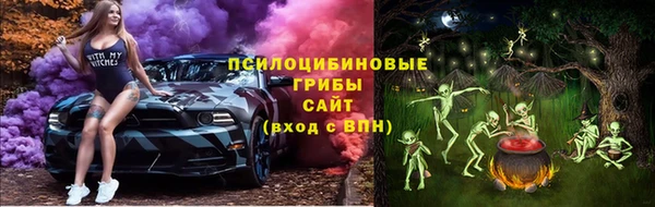 прущие грибы Белоозёрский